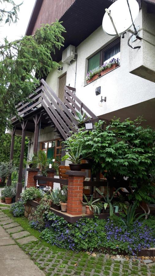 Agave Apartman Velence Exterior photo