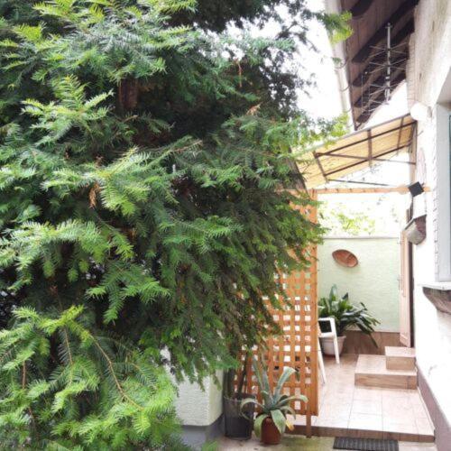 Agave Apartman Velence Exterior photo